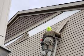 Best Historical Building Siding Restoration  in Leonville, LA